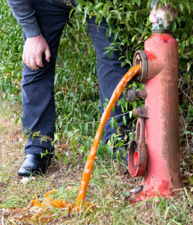 Brandhane, hvor vandet har stået stille længe og er blevet brunt
